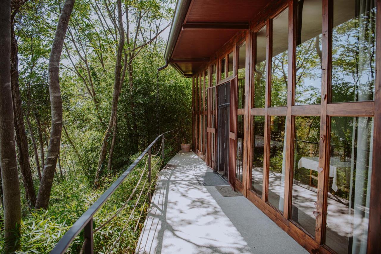 Villa Schindler Манерба-дель-Гарда Экстерьер фото