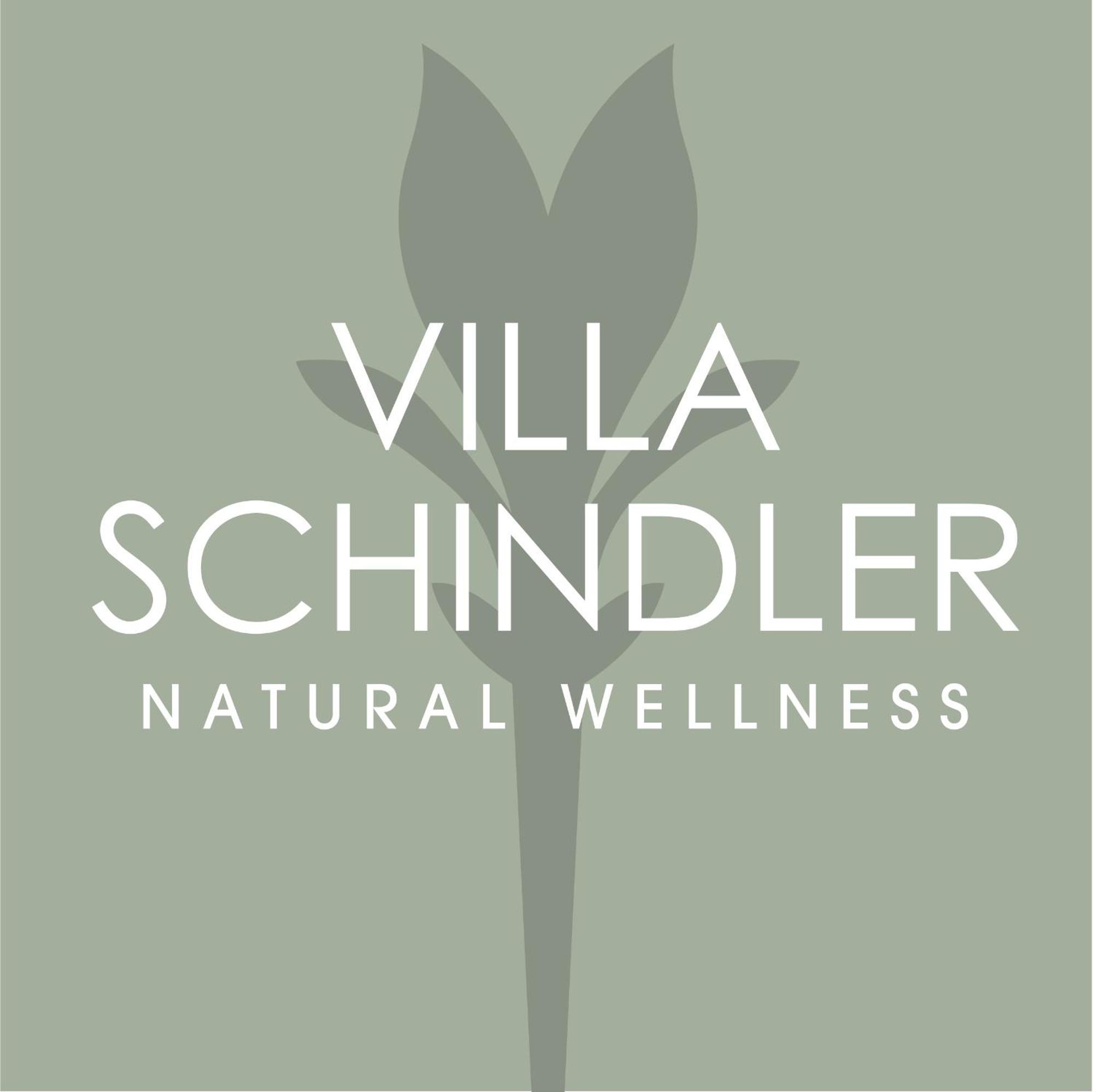Villa Schindler Манерба-дель-Гарда Экстерьер фото